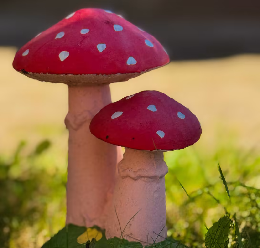 www.dom-samobor.com